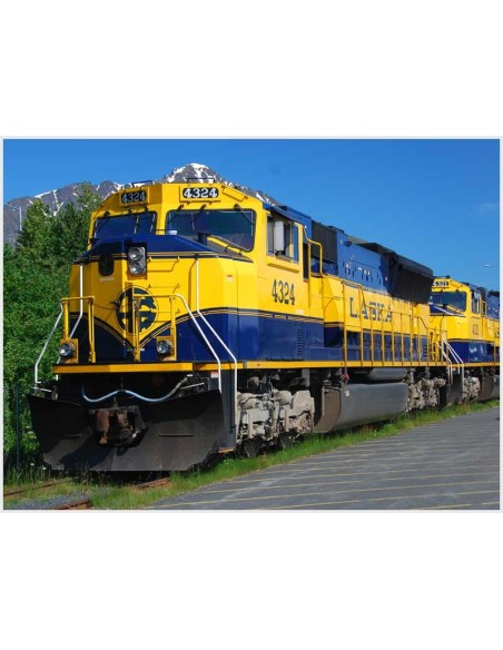 Alaska Railroad - M52505 reale