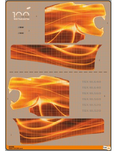 MAN TGX 100 years - M69386