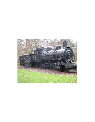 Georgia Pacific - M52501 reale