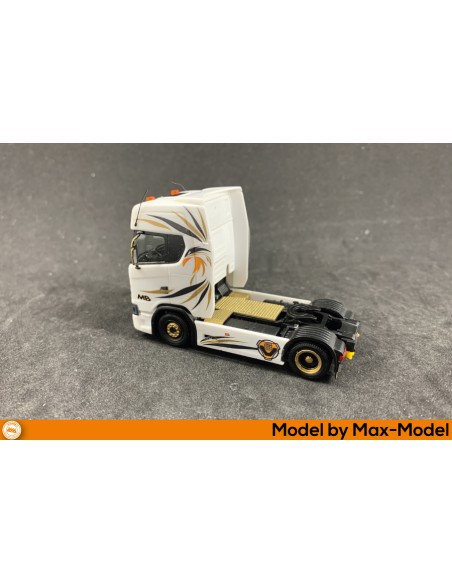 Scania Gold Fly - M62485G rear side model Scania Gold Fly - M62485G rear side model
