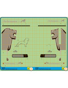 MAN TGX Performance Lion - M67412